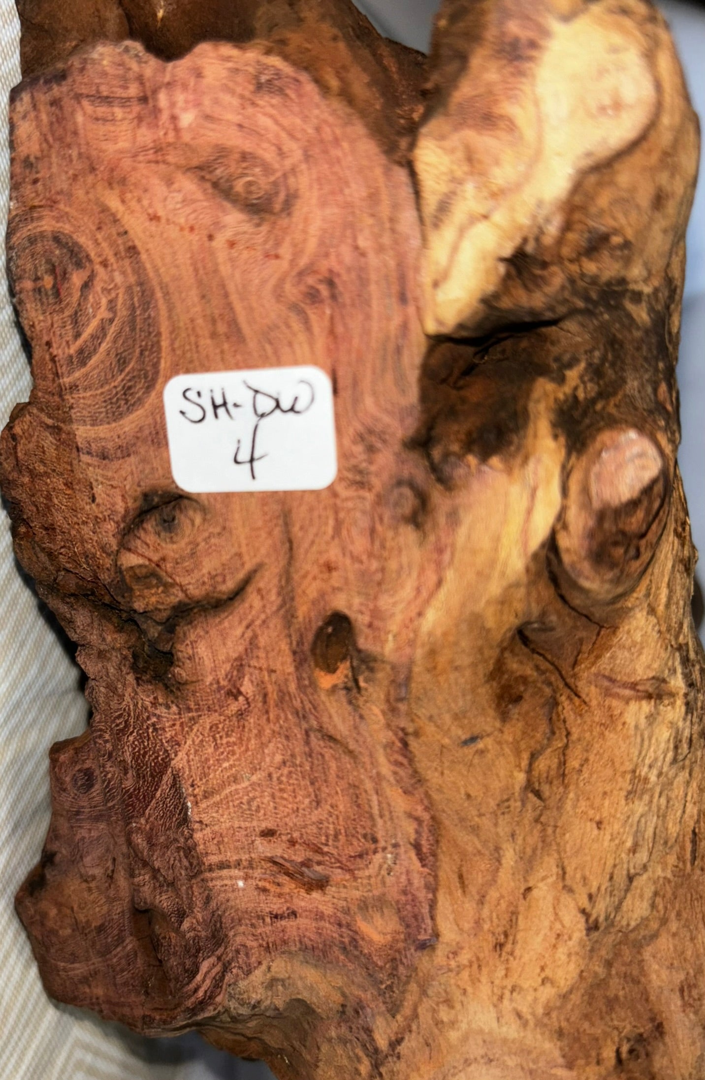 Unique Hand-made Driftwood Sphere Holder/Stand 4L (holds 7 spheres - Spheres are NOT included)