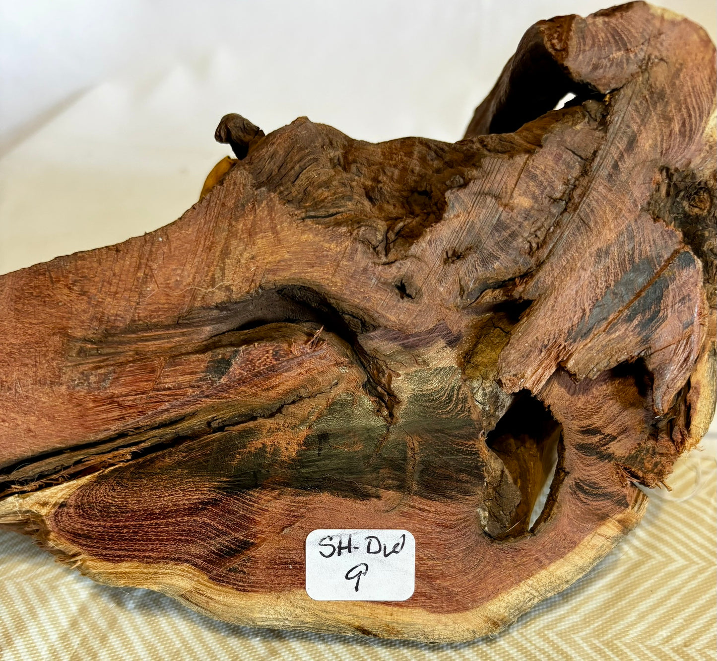 Unique Hand-made Driftwood Sphere Holder/Stand 9M (holds 7 spheres - Spheres are NOT included)