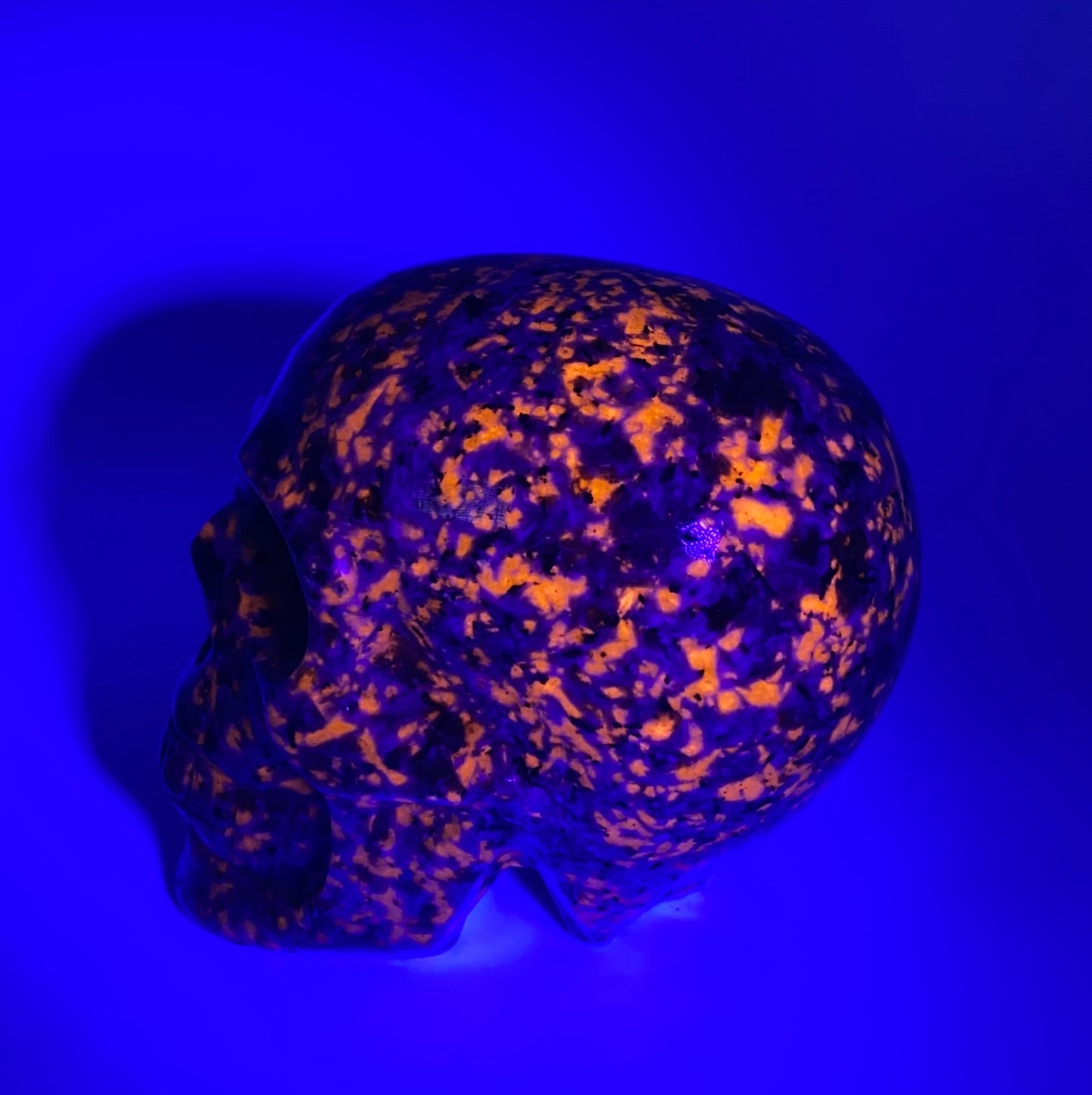 Yooperlite Skull 3,4,5 (UV Reactive) - Halloween decor, spooky polished stone sculpture glows under blacklight…