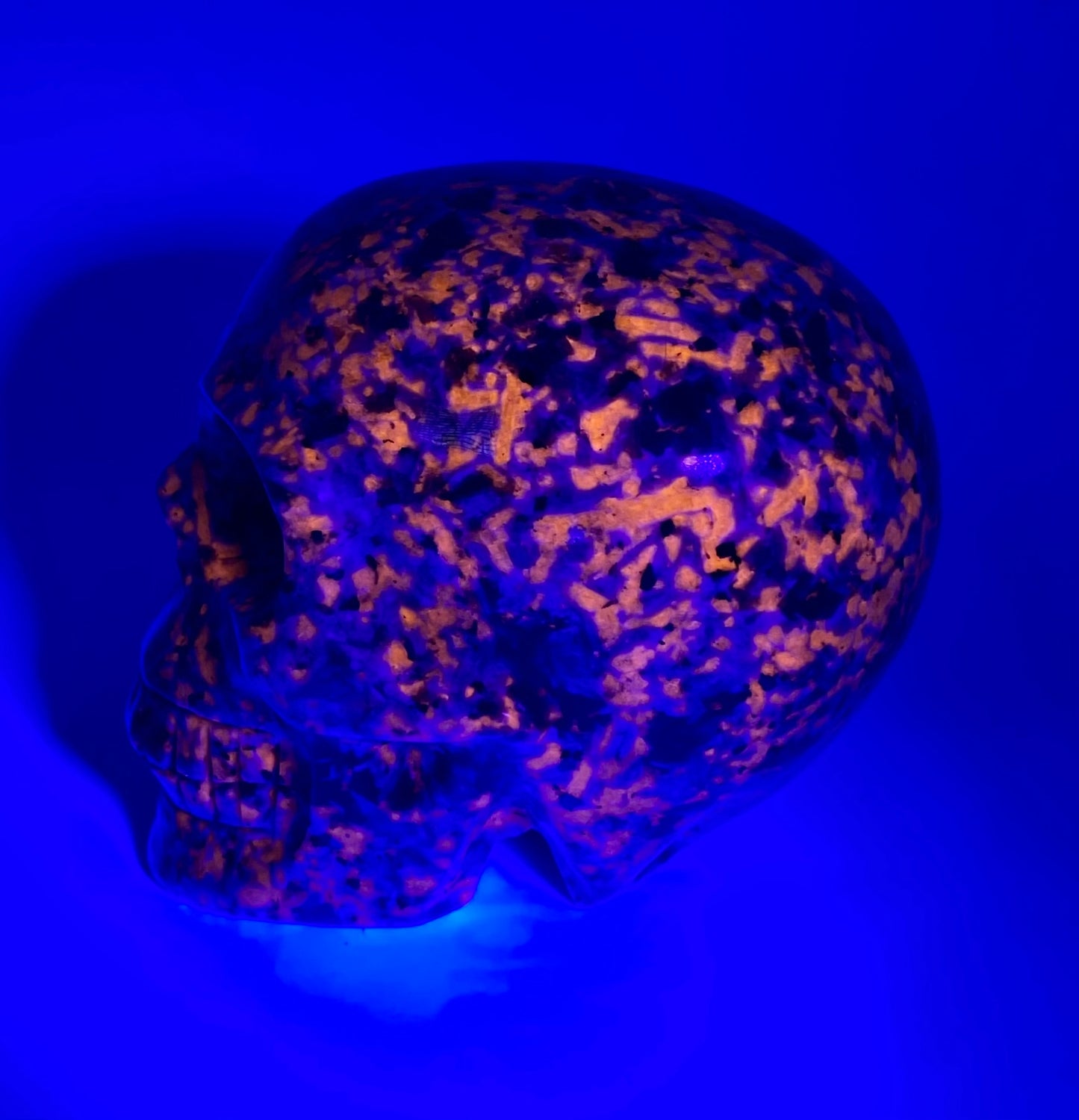 Yooperlite Skull 3,4,5 (UV Reactive) - Halloween decor, spooky polished stone sculpture glows under blacklight…