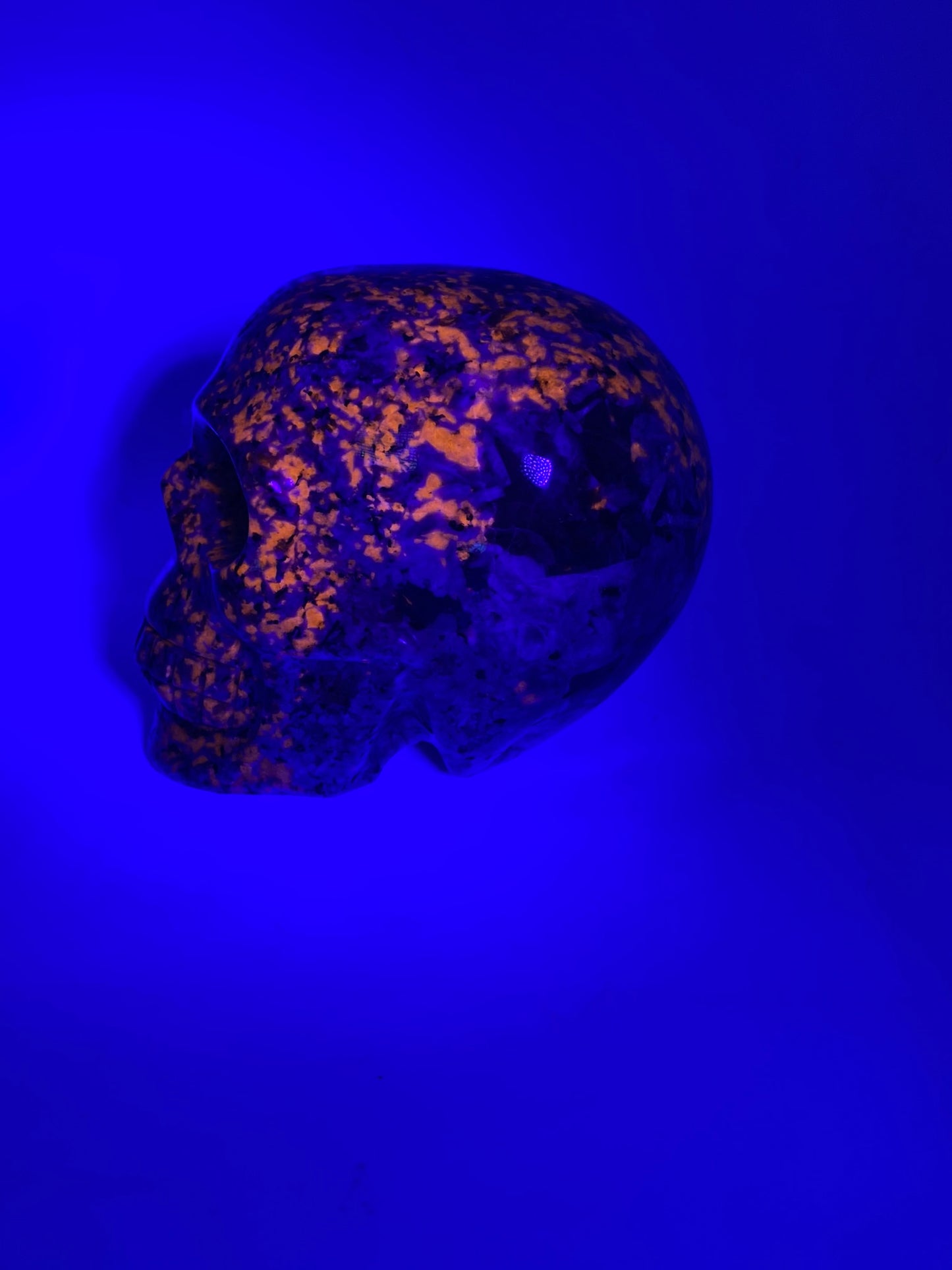 Yooperlite Skull 3,4,5 (UV Reactive) - Halloween decor, spooky polished stone sculpture glows under blacklight…