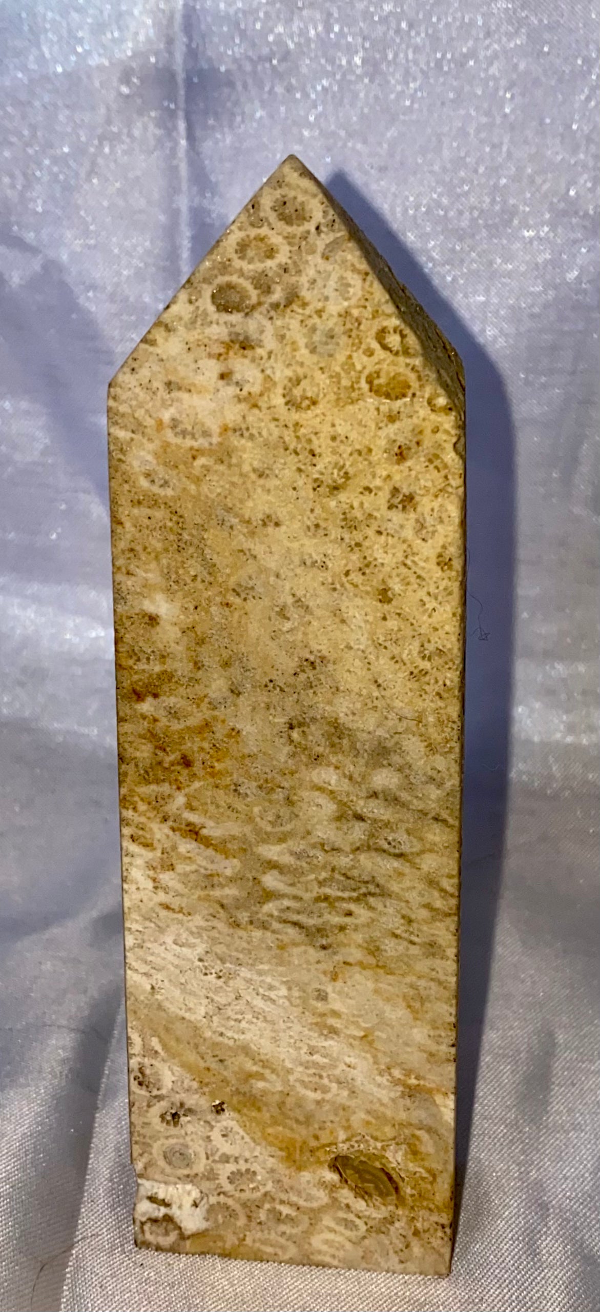 Fossilized Coral Tower s3 - polished tan gray stone sculpture