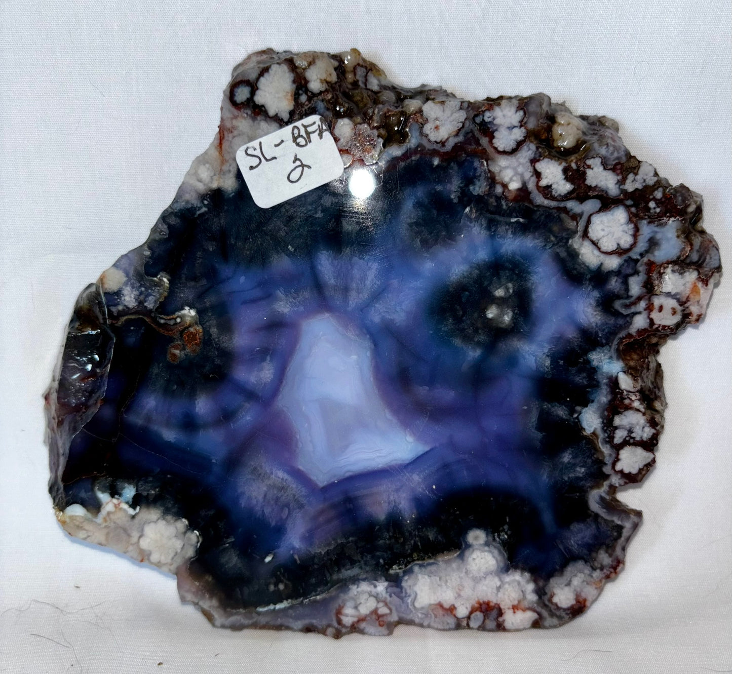 Blue Flower Agate Slab 2