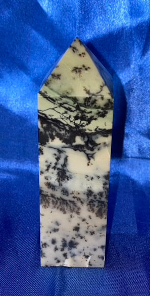 Dendritic Agate Point 1