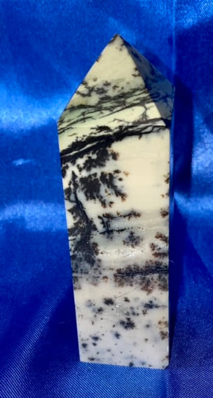 Dendritic Agate Point 1